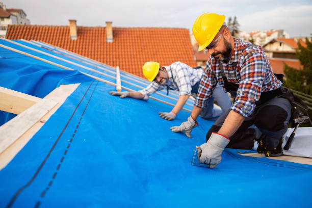 Best Roof Maintenance Services  in Putney, GA